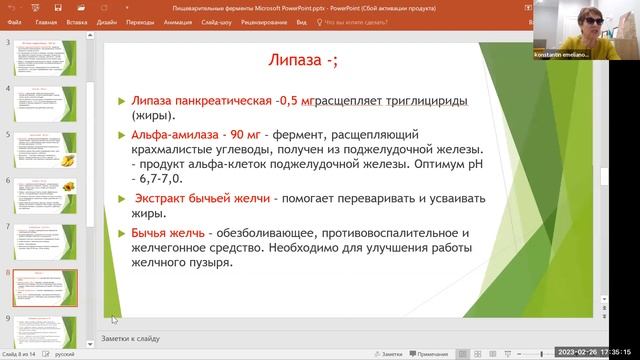 Пищеварительные ферменты