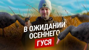 ОСЕННАЯ ОХОТА НА ГУСЯ 2024