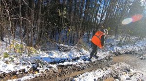 Загонная охота на трофейного лося 12.10.2024