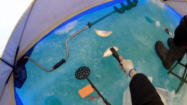 Подлёдная Рыбалка на Воблу #2023 #вобла #зимняяловлярыбы#top