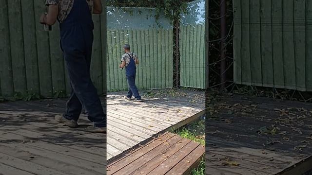 Маленький и юркий хулиган под действием адреналина обрывает зеленые насаждения в центре Дмитрова