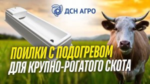 Автоматические поилки с подогревом для крупно-рогатого скота