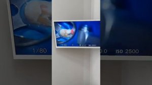 Отзыв о файлах S-Flexi от Михаила Певзнера