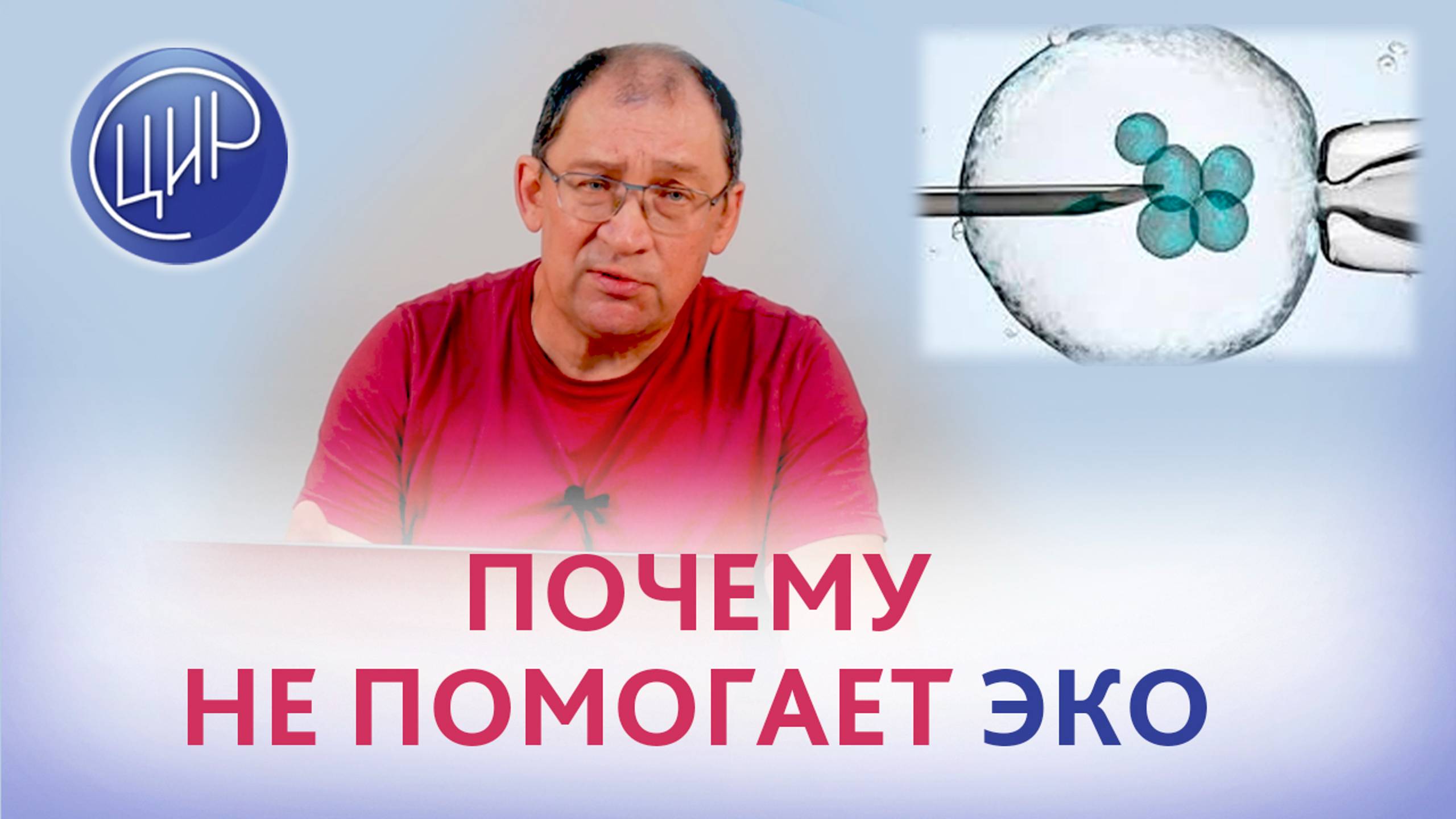 Начало беременности. Почему при бесплодии не всегда помогает ЭКО. И.И. Гузов.