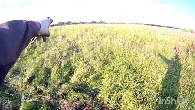 Быстрый коп хорошие находки.#копметалла2022#железо смотреть онлайн