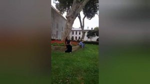 Хумай - Птица феникс. Она любила жизнь🕊🕊🕊