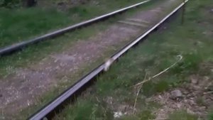 видео друзей