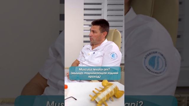 Как удалять хвост #shorts #нейрохирург #вертебролог #Епифанов