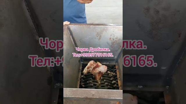 Шредер для костей животных.Дробилка кость.Хар кандай Суяк ва музлаган гушт майдалагич.380в 7.5кв.