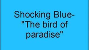 Shocking Blue- The bird of paradise