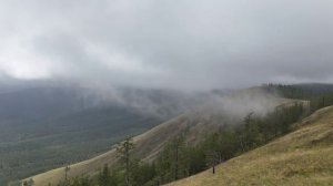 Крака