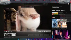 Реакция T2x2: Котенок ест хвост крокодила ASMR