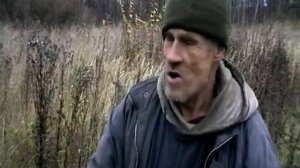 Про  пчёл.