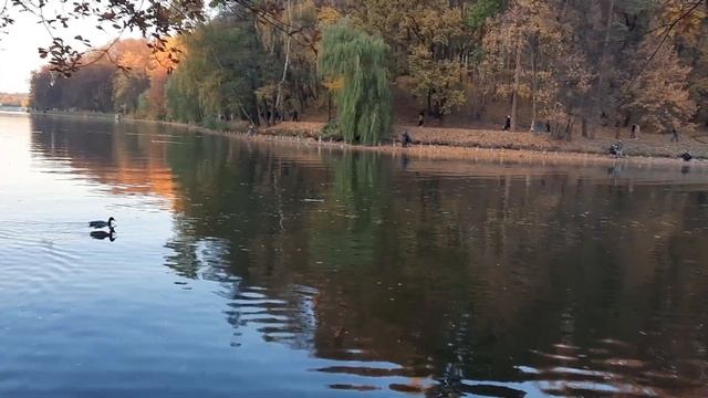 Прогулка по парку Царицыно !Москва !
