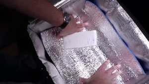 Обучение курьера новичка.