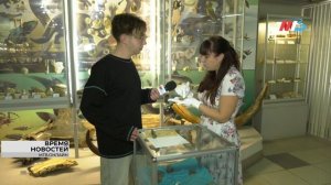 Волгоградцам показали древние белемниты и аммониты в краеведческом музее