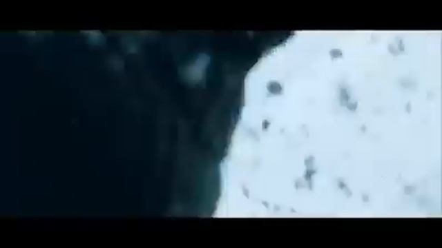 Gri Kurt Orijinal Fragman