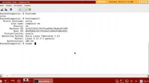 Как узнать имя компьютера (hostname) в Linux (на примере Astra Linux)
