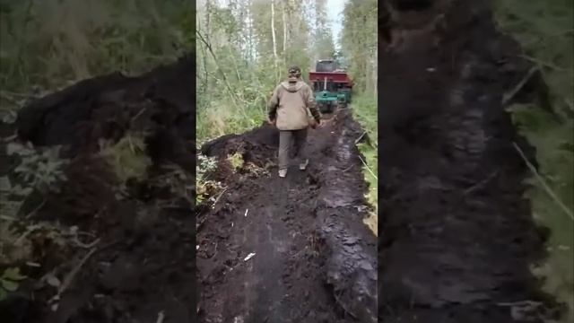 Пожар в Брянской области. Друзья - вальщики леса помогают тушить #пожар #zimani #лес