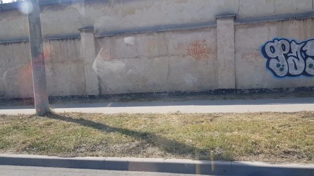 Севастопольский Троллейбус ВМЗ 5298.01-50 Авангард 19 маршрут на автономный ход 24 июня 2022г. смотреть онлайн