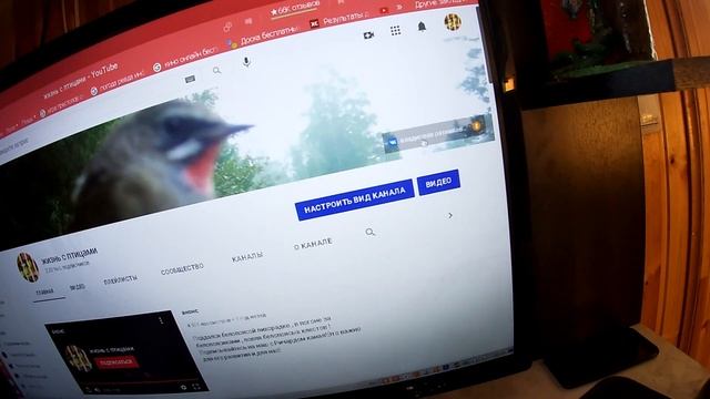 Орнитологические сети в наличии,размеры нового поступления,как заказать сети смотреть онлайн