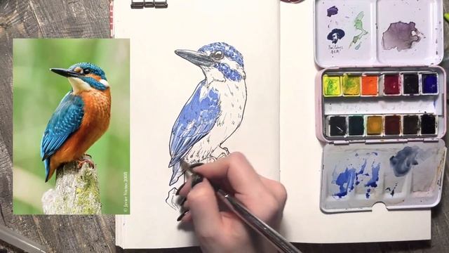 Видеоурок "Анималистический скетчинг. Птица"