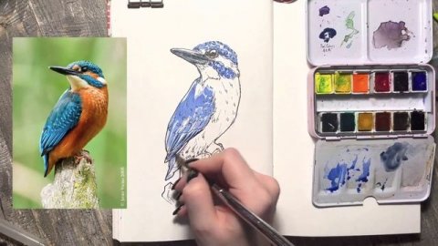 Видеоурок "Анималистический скетчинг. Птица"