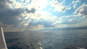 Крым 2020. Новый Свет. Дельфины.