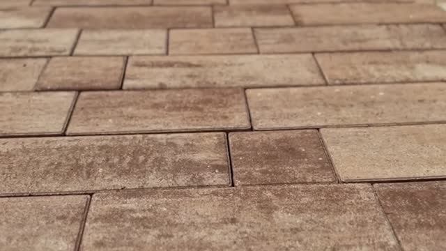 Форма "Маринталь" в цвете "Мокко" смотреть онлайн