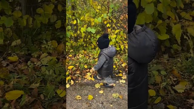 Обзор детской одежды