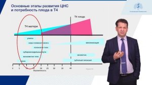 Заболевания щитовидной железы во время беременности (часть 2)