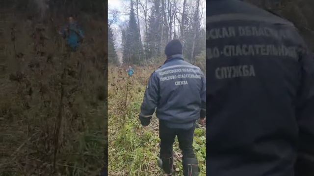 Семейная пара заблудилась в лесу под Кемеровом