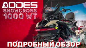 AODES Snowcross 1000WT: подробный обзор снегохода