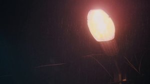 6771710-uhd_3840_2160_25fps