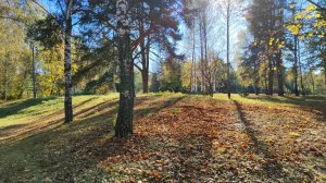Сормовский парк в городе Н. Н. 14.09.24 Чудесный солнечный октябрьский день