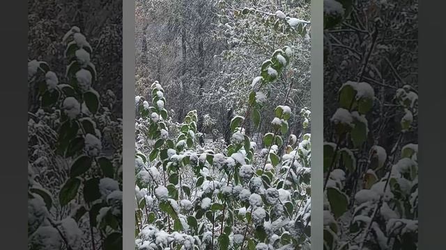 С ПЕРВЫМ СНЕГОМ!!! ❄️❄️❄️