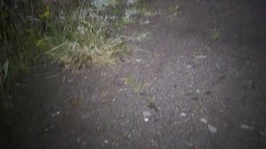 Крутой фонарь"ARMYTEK WIZARD C2"- обзор и тесты