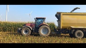 Gebr. Straathof Wagenborgen mais hakselen met Claas jaguar 970 USA 1800 CF silage wagens.