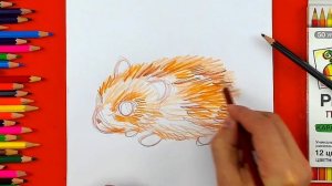 Рисуем КАРАНДАШАМИ хомячка поэтапно
