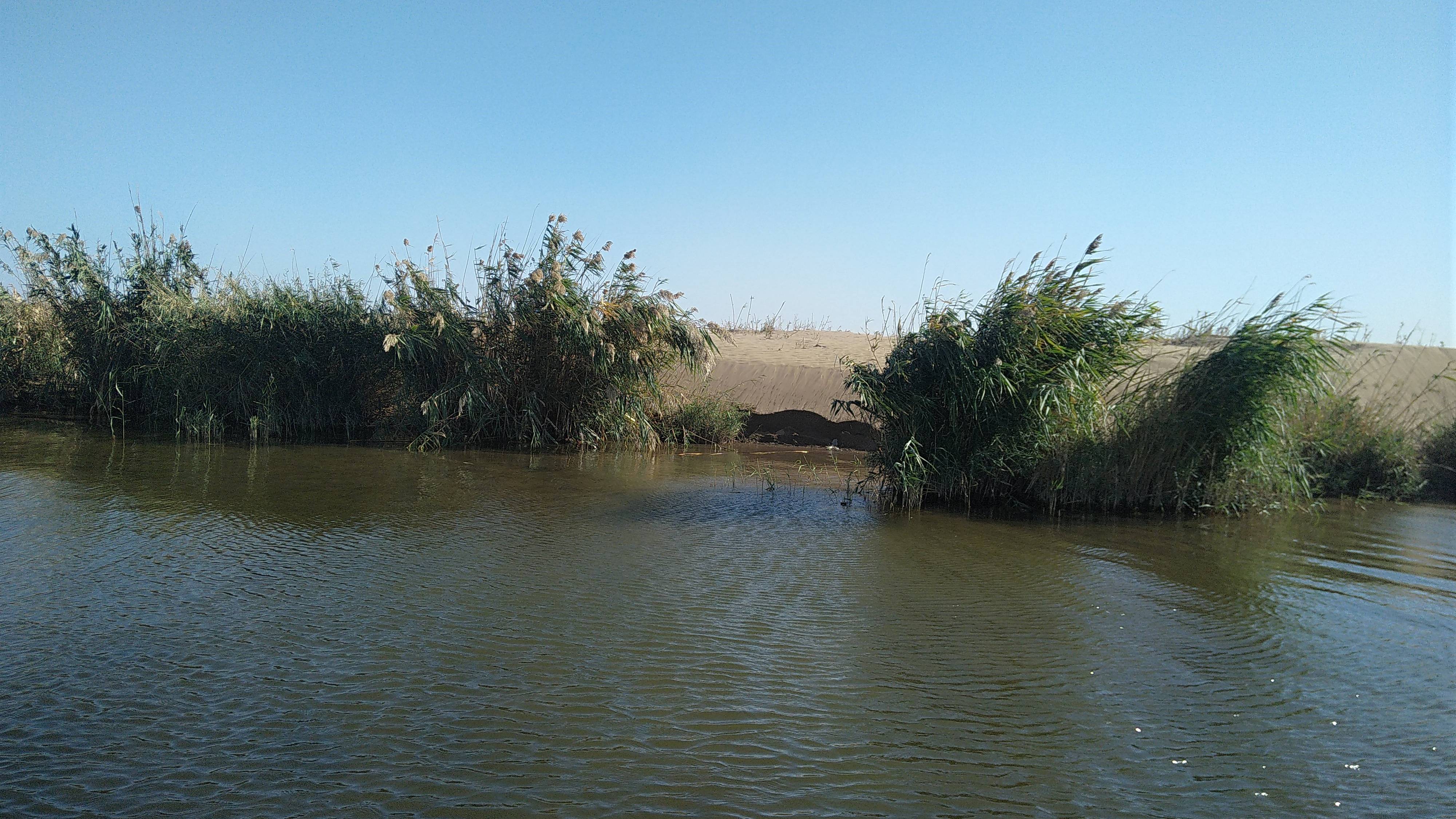 Пустыня наступает...