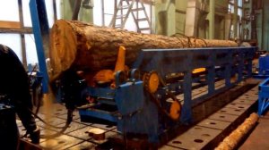 Раскряжевка бревен цепной пилой