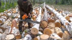 Бензопила ZimAni MS460 на заготовке дров в Челябинской области.