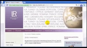 Суть бизнеса ЛР Самая подробная информация