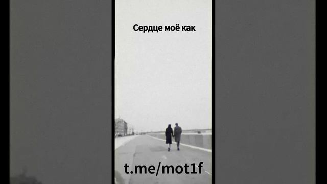 #мотивация #вдохновение #цели #достижения #успех #саморазвитие #преодоление #усилия #настойчивость #