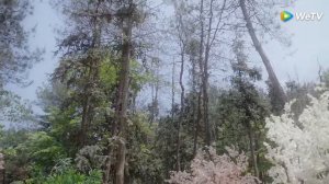 Юй Лун 1 сезон 34 серия