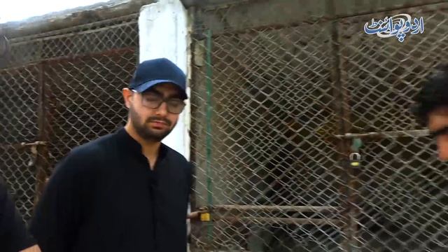 These Pakistani Brothers Have 4 Leopards, 2 White Lions and 2 Lagar Bagar at Home смотреть онлайн