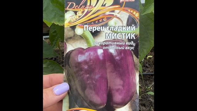 Перец сладкий «Мистик». Все самые лучшие и важные моменты от посева до сбора плодов. Юлиана Салуева