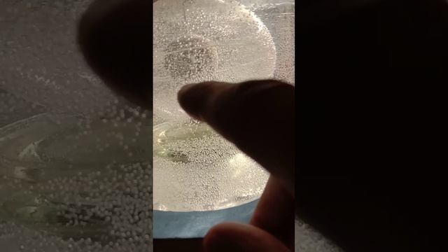 ЭКСПЕРИМЕНТ N15_ПОЯСНЕНИЯ ПРИЧИНЫ НАКЛОНА ОСИ ВРАЩЕНИЯ ПЛАНЕТЫ ЗЕМЛЯ ОТНОСИТЕЛЬНО ЭКЛИПТИКИ СОЛНЦА смотреть онлайн