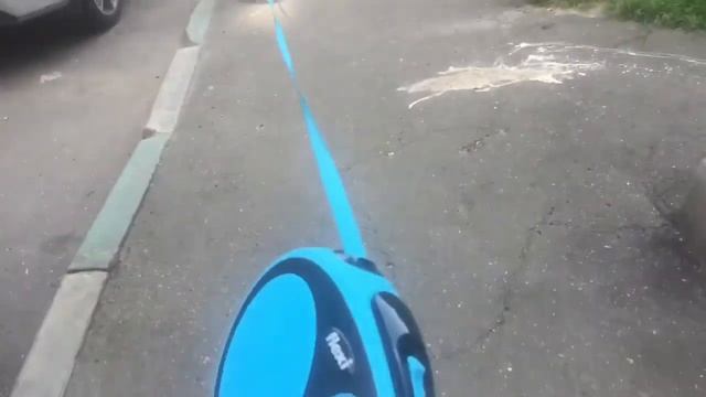 Обзор на рулетку flexi смотреть онлайн