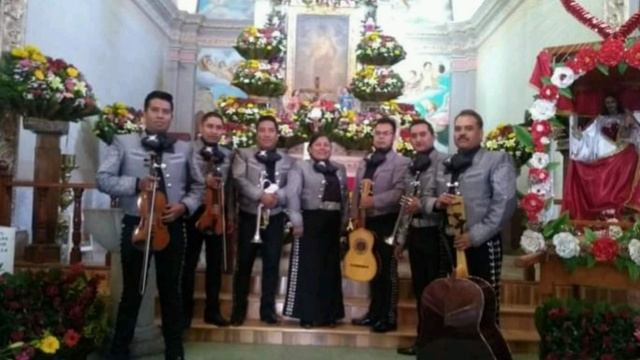Santa Cecilia patrona de los musicos🎶🎵🎼festejó mundial..Pily Cruz смотреть онлайн